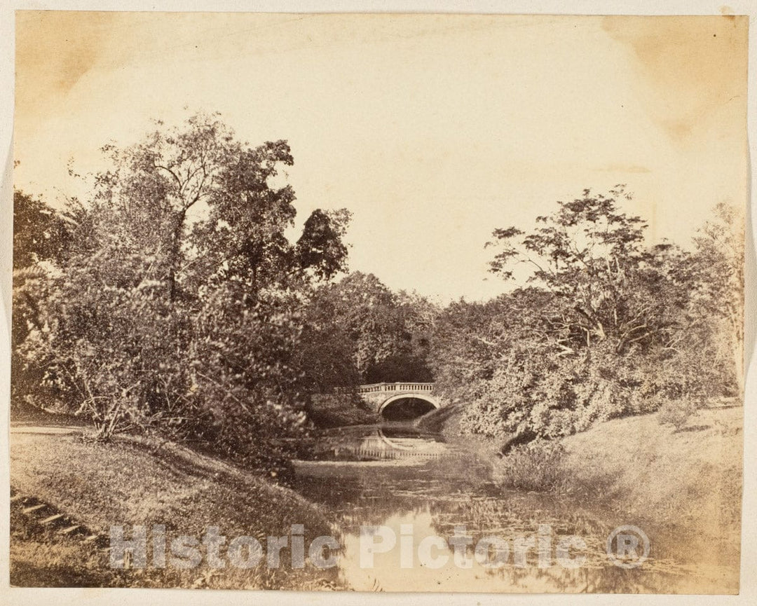 Photo Print : Botanical Gardens, Calcutta : Vintage Wall Art
