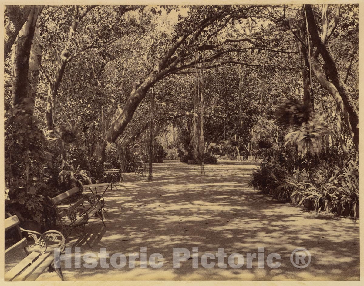 Photo Print : Lala Deen Dayal - Sookh-Vilas Palace Garden 2 : Vintage Wall Art