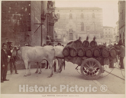 Photo Print : James Anderson - Carro con buoi, Perugia : Vintage Wall Art