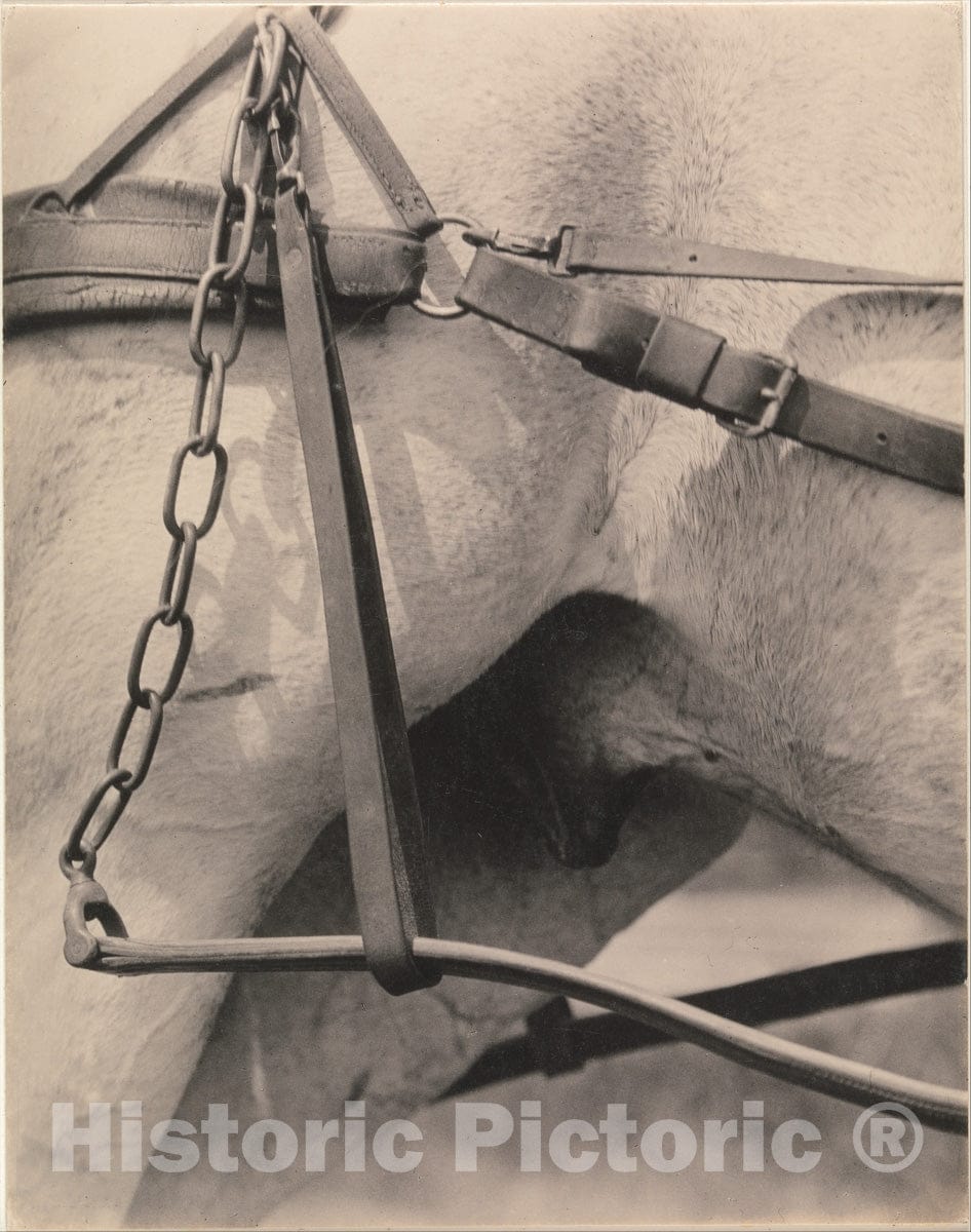 Photo Print : Alfred Stieglitz - Spiritual America : Vintage Wall Art