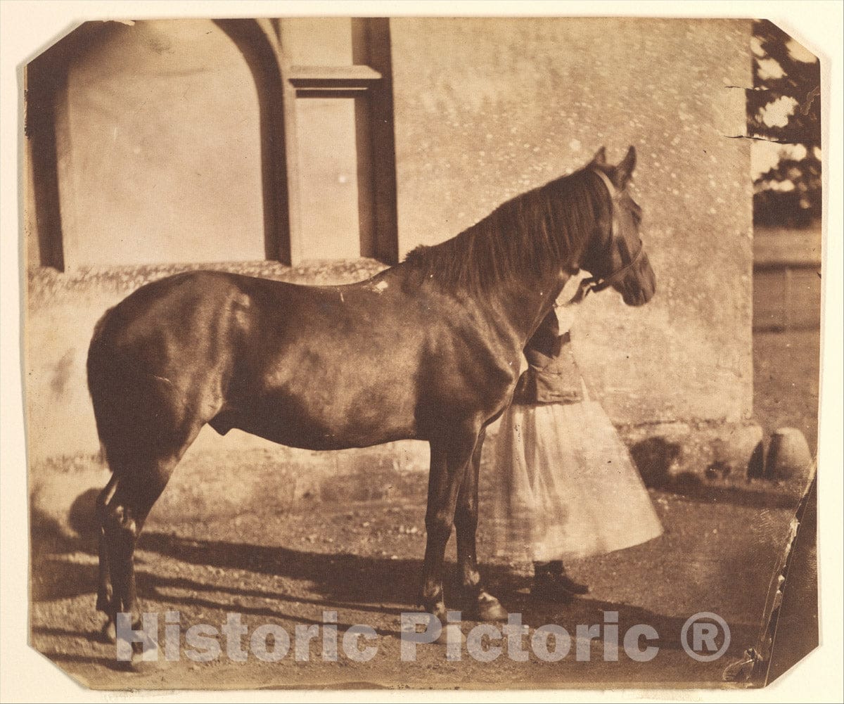 Photo Print : Nevil Story Maskelyne - Sultan : Vintage Wall Art
