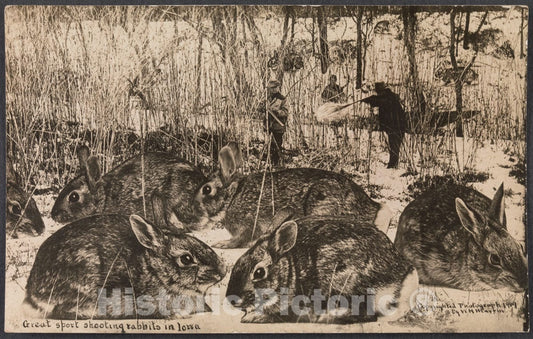 Art Print : William H. Martin - Great Sport Shooting Rabbits in Iowa : Vintage Wall Art