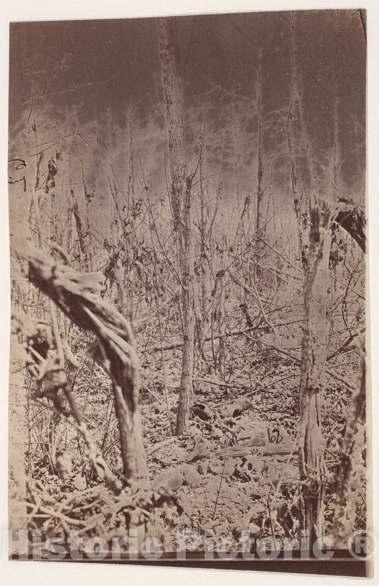 Photo Print : The Wilderness Battlefield 2 v.2 : Vintage Wall Art