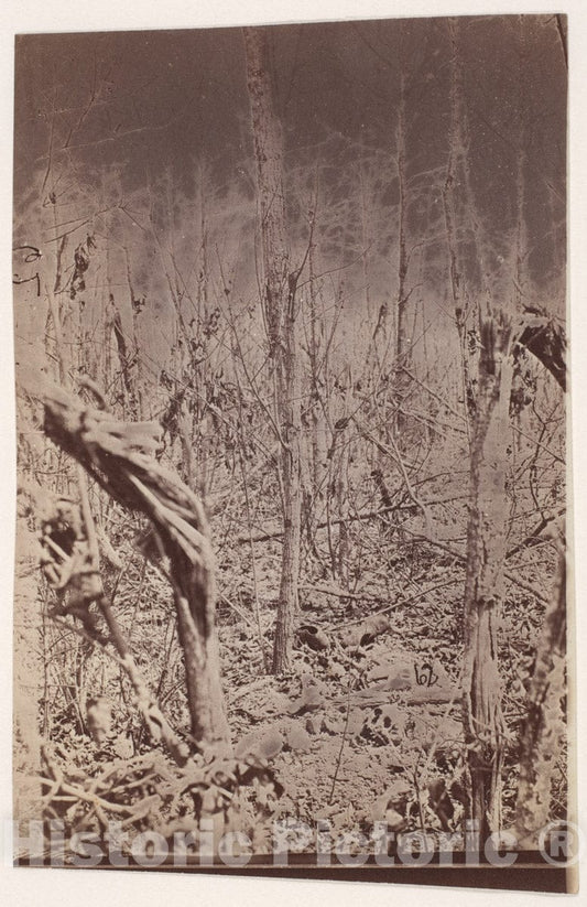Photo Print : The Wilderness Battlefield 2 v.2 : Vintage Wall Art