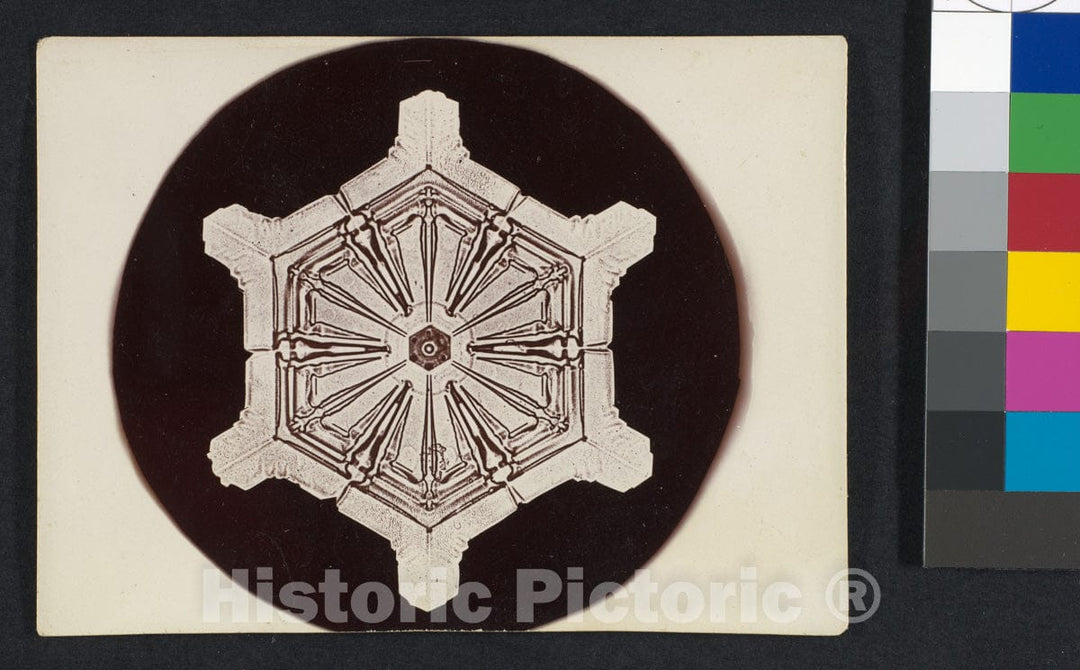 Photo Print : Wilson Alwyn Bentley - Snow Crystal - 407777 : Vintage Wall Art