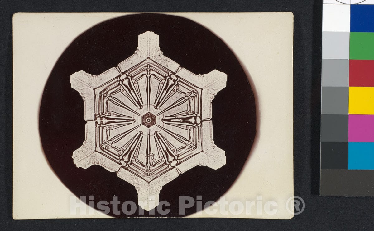 Photo Print : Wilson Alwyn Bentley - Snow Crystal - 407777 : Vintage Wall Art
