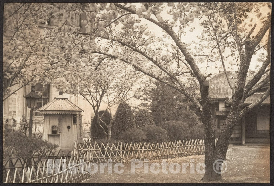 Photo Print : Adolf de Meyer - Garden with Bamboo Fencing at Atago Tower, Tokyo, Japan : Vintage Wall Art