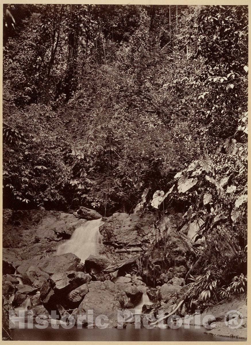 Photo Print : John Moran - Tropical Scenery, Cascade, Limon River : Vintage Wall Art