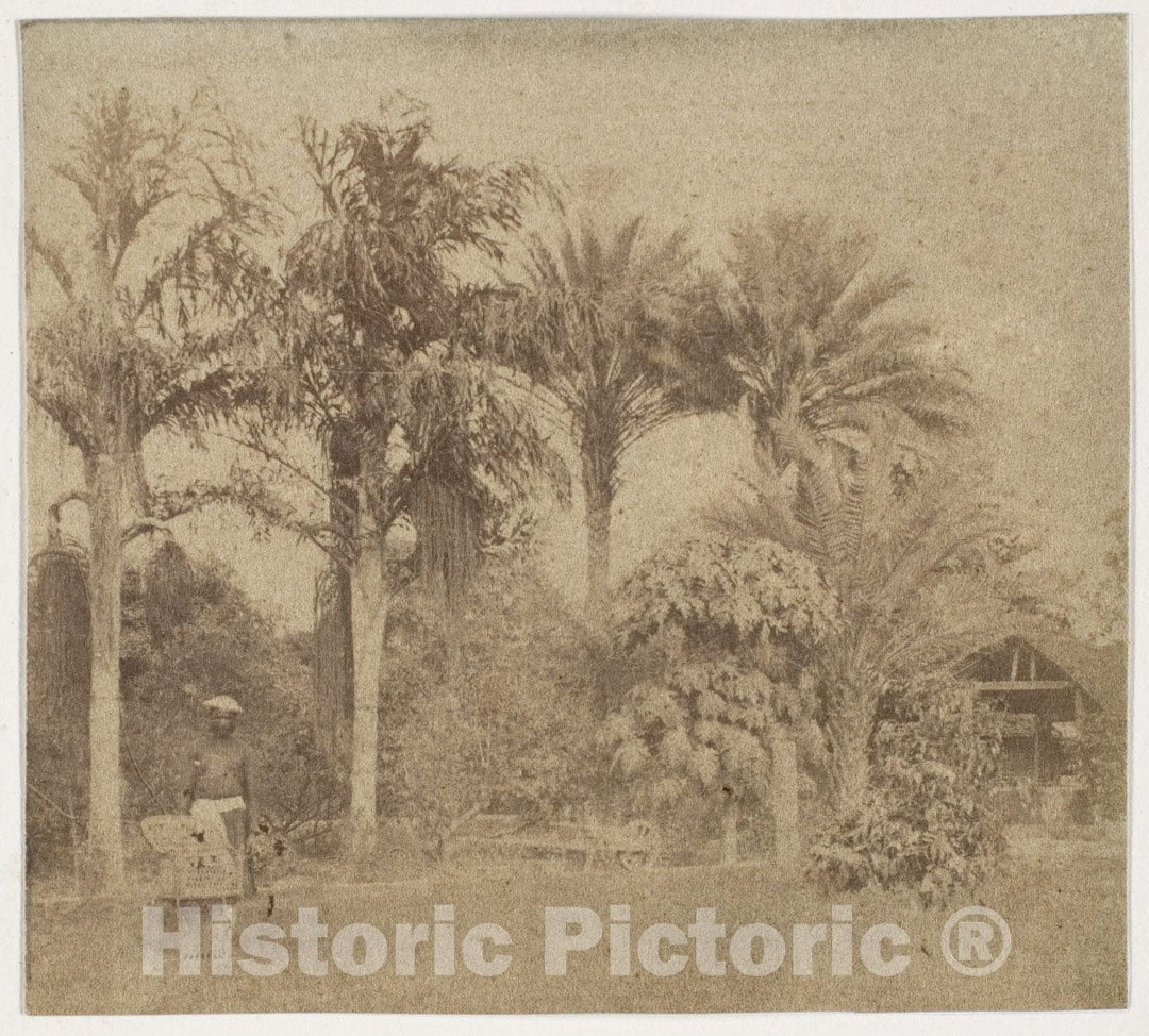Photo Print : John Constantine Stanley - Gardens, Government House, Allahabad : Vintage Wall Art