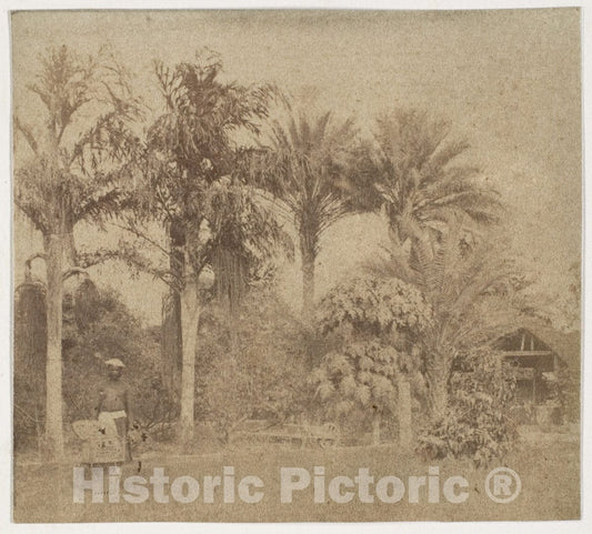 Photo Print : John Constantine Stanley - Gardens, Government House, Allahabad : Vintage Wall Art