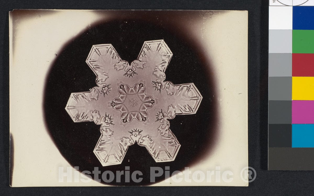 Photo Print : Wilson Alwyn Bentley - Snow Crystal 3 : Vintage Wall Art