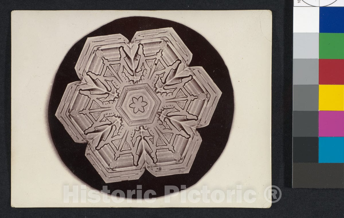 Photo Print : Wilson Alwyn Bentley - Snow Crystal - 407920 : Vintage Wall Art