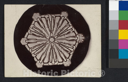 Photo Print : Wilson Alwyn Bentley - Snow Crystal - 407921 : Vintage Wall Art