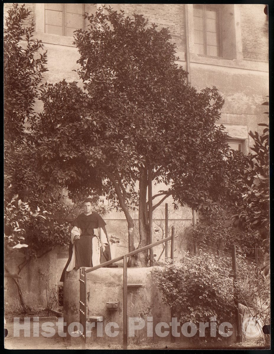 Photo Print : St. Domenic's Orange Tree on The Aventine : Vintage Wall Art