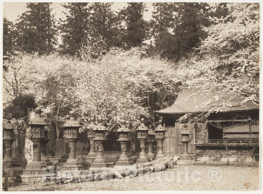 Photo Print : Adolf de Meyer - Ueno T?sh?-g?, Tokyo, Japan : Vintage Wall Art