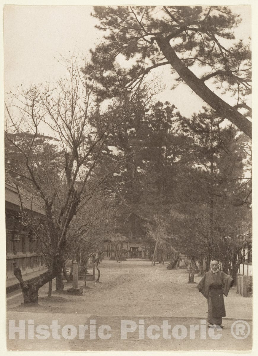 Photo Print : Adolf de Meyer - Garden Scene with Young Man Working : Vintage Wall Art