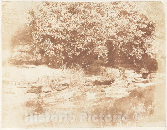 Photo Print : Hill and Adamson - Burnside, Fife/Island in The Almond River : Vintage Wall Art