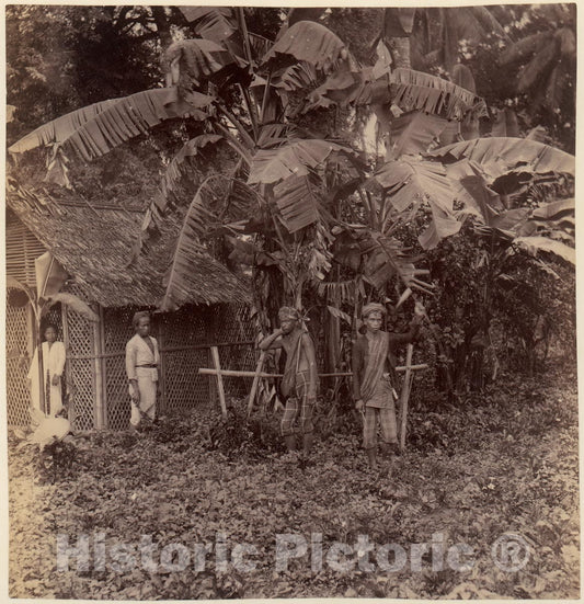 Photo Print : Batavia : Vintage Wall Art