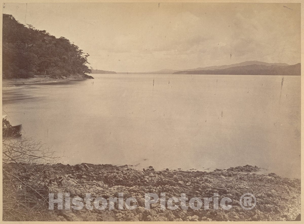 Photo Print : John Moran - Tropical Scenery, Darien Harbor - Looking South : Vintage Wall Art