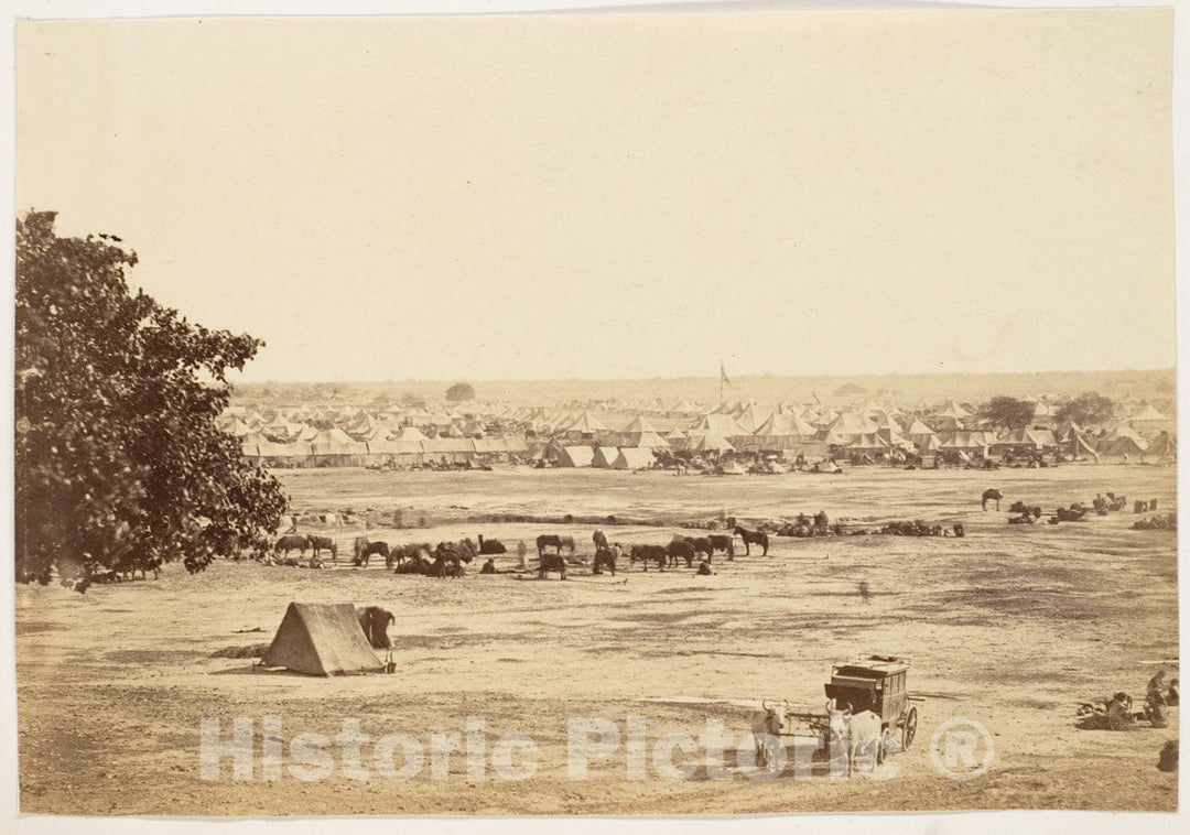 Photo Print : Governor General's and Commander in Chief's Camp, Jullundur : Vintage Wall Art