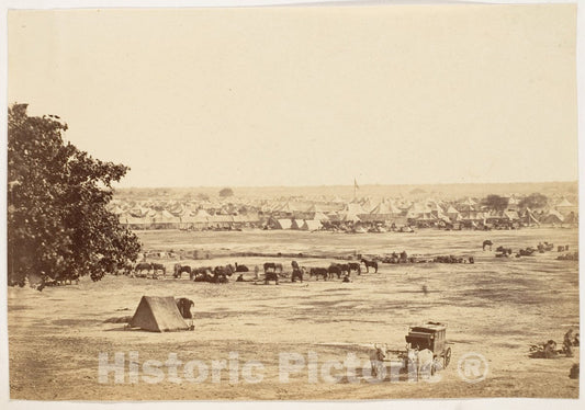 Photo Print : Governor General's and Commander in Chief's Camp, Jullundur : Vintage Wall Art