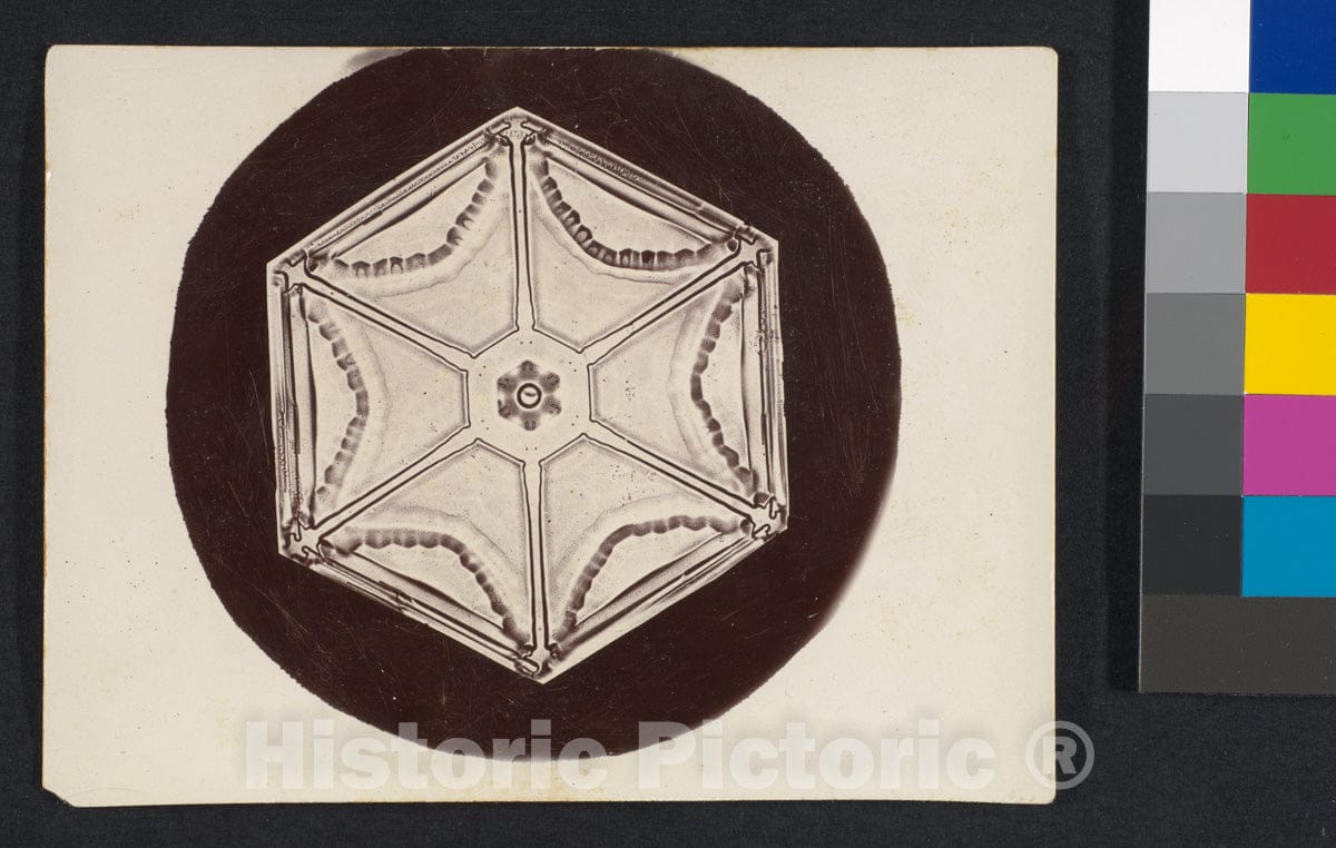 Photo Print : Wilson Alwyn Bentley - Snow Crystal - 408046 : Vintage Wall Art