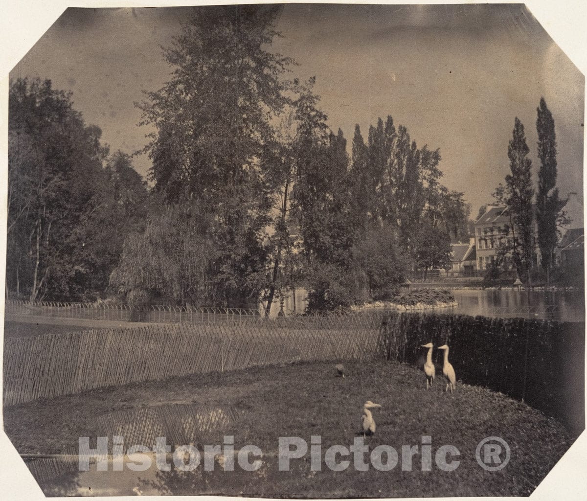 Photo Print : Louis-Pierre-Théophile Dubois de Nehaut - Heron Pond, Zoological Gardens, Brussels : Vintage Wall Art