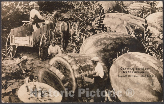 Art Print : William H. Martin - Carving One of Our Watermelons : Vintage Wall Art