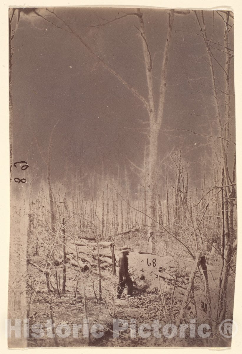 Photo Print : The Wilderness Battlefield - 408162 : Vintage Wall Art