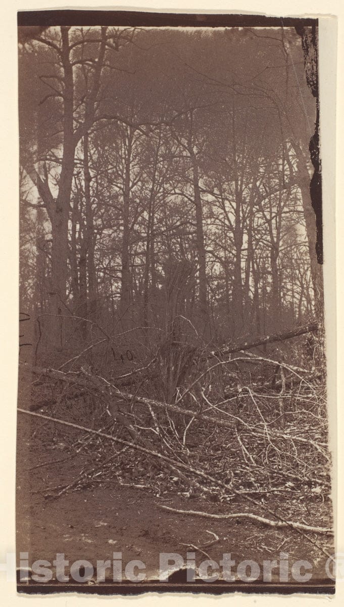 Photo Print : The Wilderness Battlefield 7 : Vintage Wall Art
