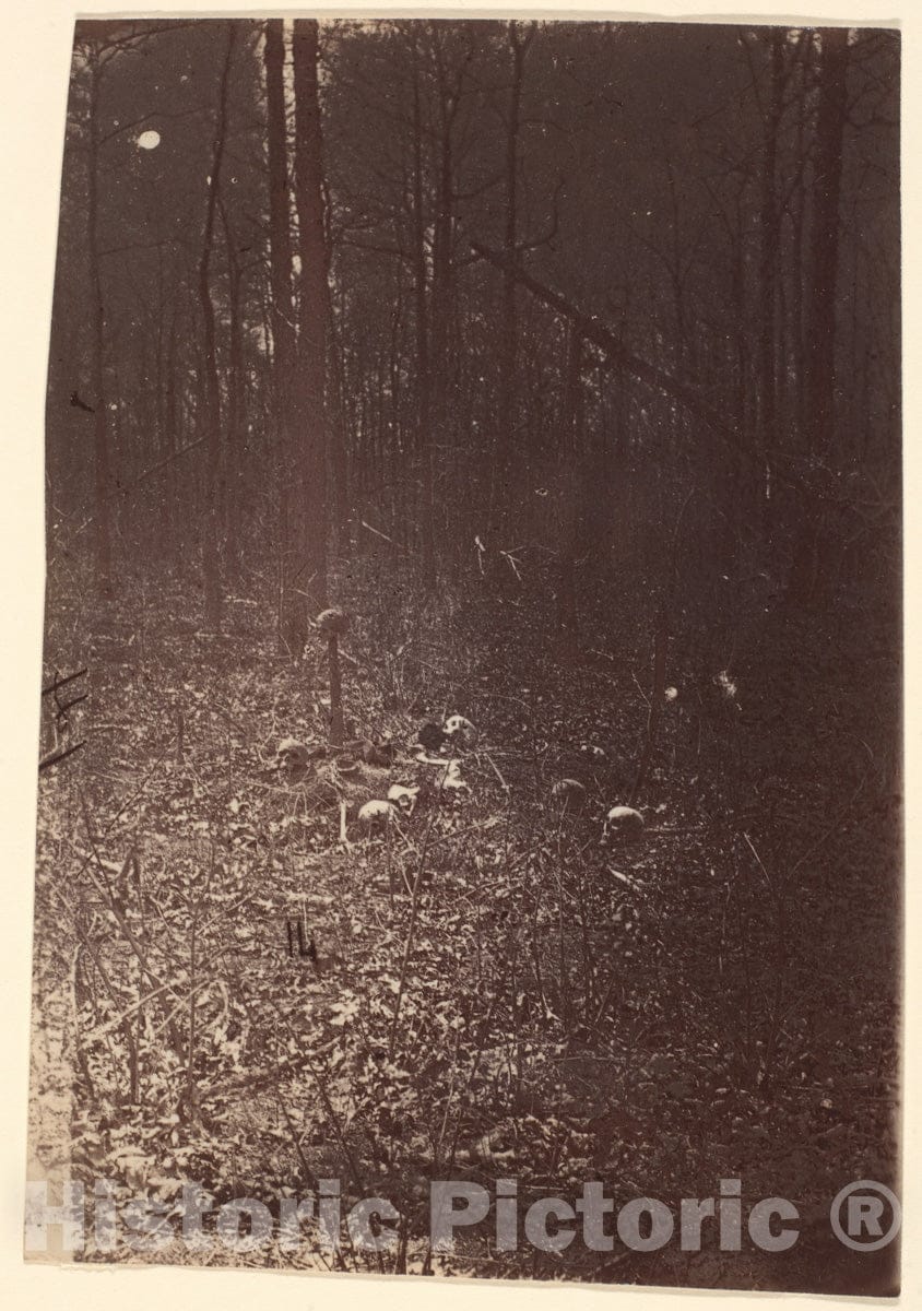 Photo Print : The Wilderness Battlefield, Near Spotsylvania, Virginia - 408164 : Vintage Wall Art