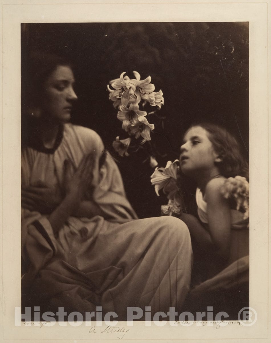 Photo Print : Julia Margaret Cameron - A Study 2 : Vintage Wall Art