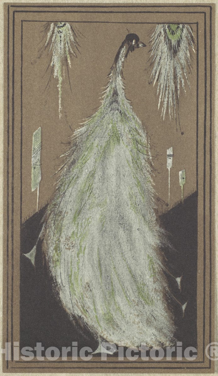 Art Print : Frederick H. Evans - Peacock : Vintage Wall Art