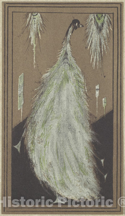 Art Print : Frederick H. Evans - Peacock : Vintage Wall Art