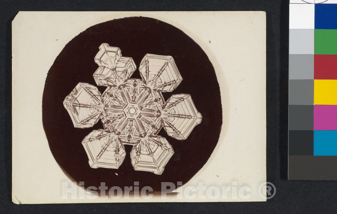 Photo Print : Wilson Alwyn Bentley - Snow Crystal 4 : Vintage Wall Art