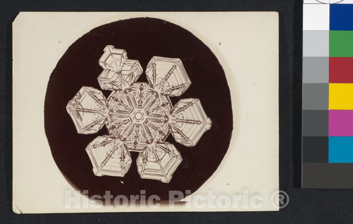 Photo Print : Wilson Alwyn Bentley - Snow Crystal 4 : Vintage Wall Art