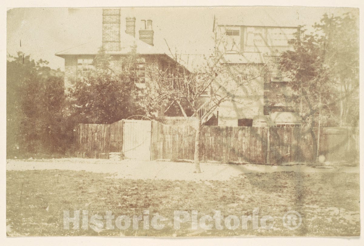 Photo Print : Samuel Buckle - Tree in Yard : Vintage Wall Art