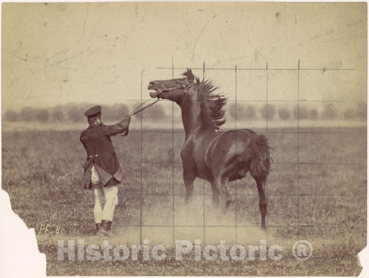 Photo Print : Ottomar Anschütz - Horse : Vintage Wall Art