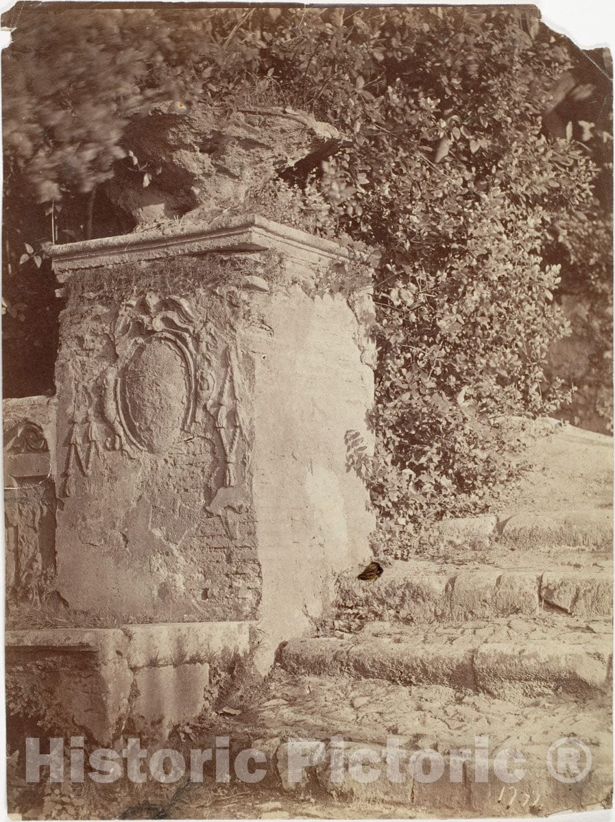 Photo Print : Ruins in a Garden : Vintage Wall Art