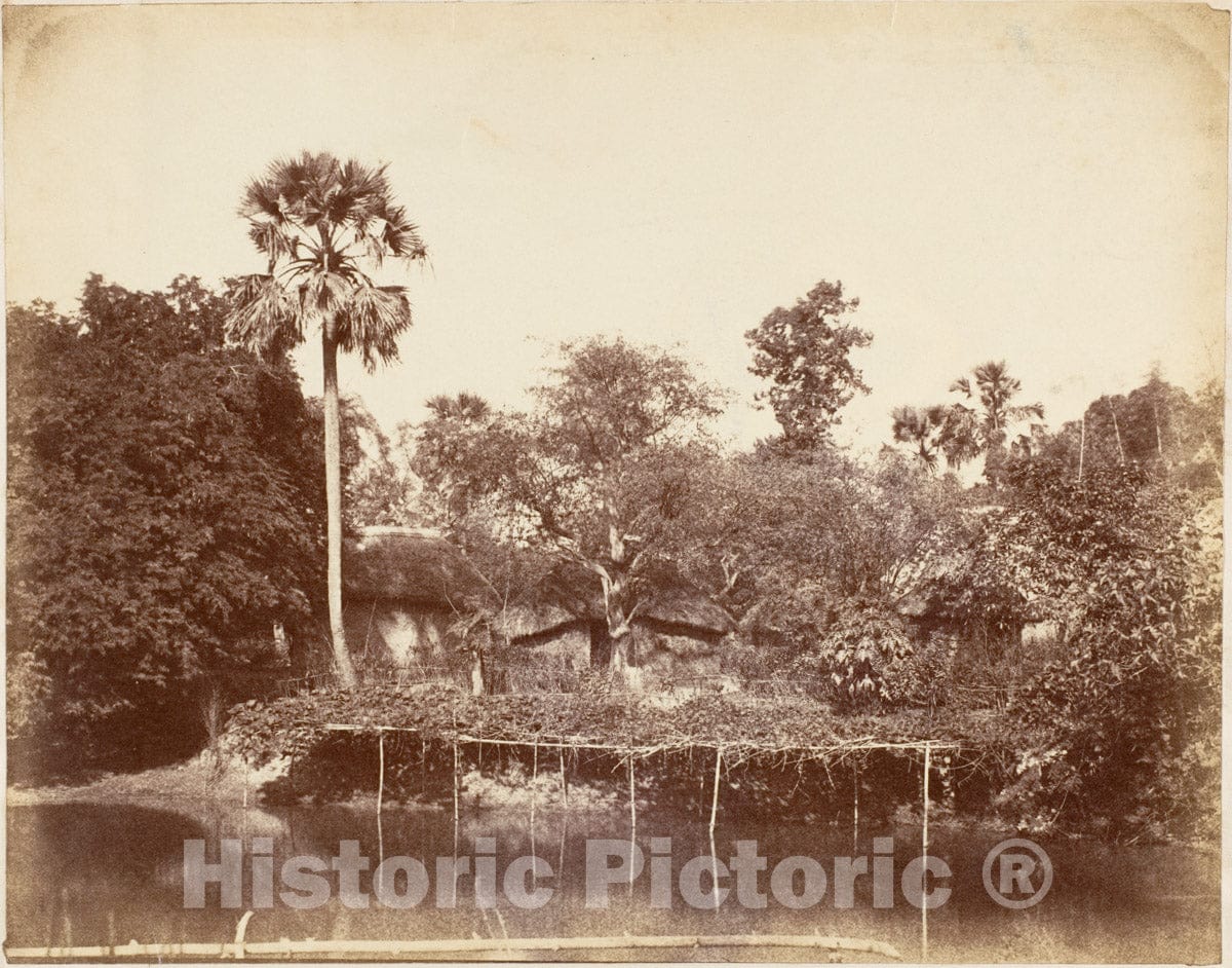 Photo Print : Captain R. B. Hill - View in The Jungle, Bengal 2 : Vintage Wall Art