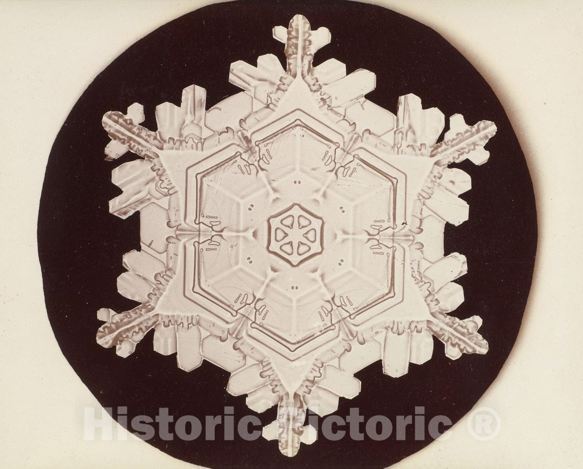 Photo Print : Wilson Alwyn Bentley - Snow Crystal - 408416 : Vintage Wall Art