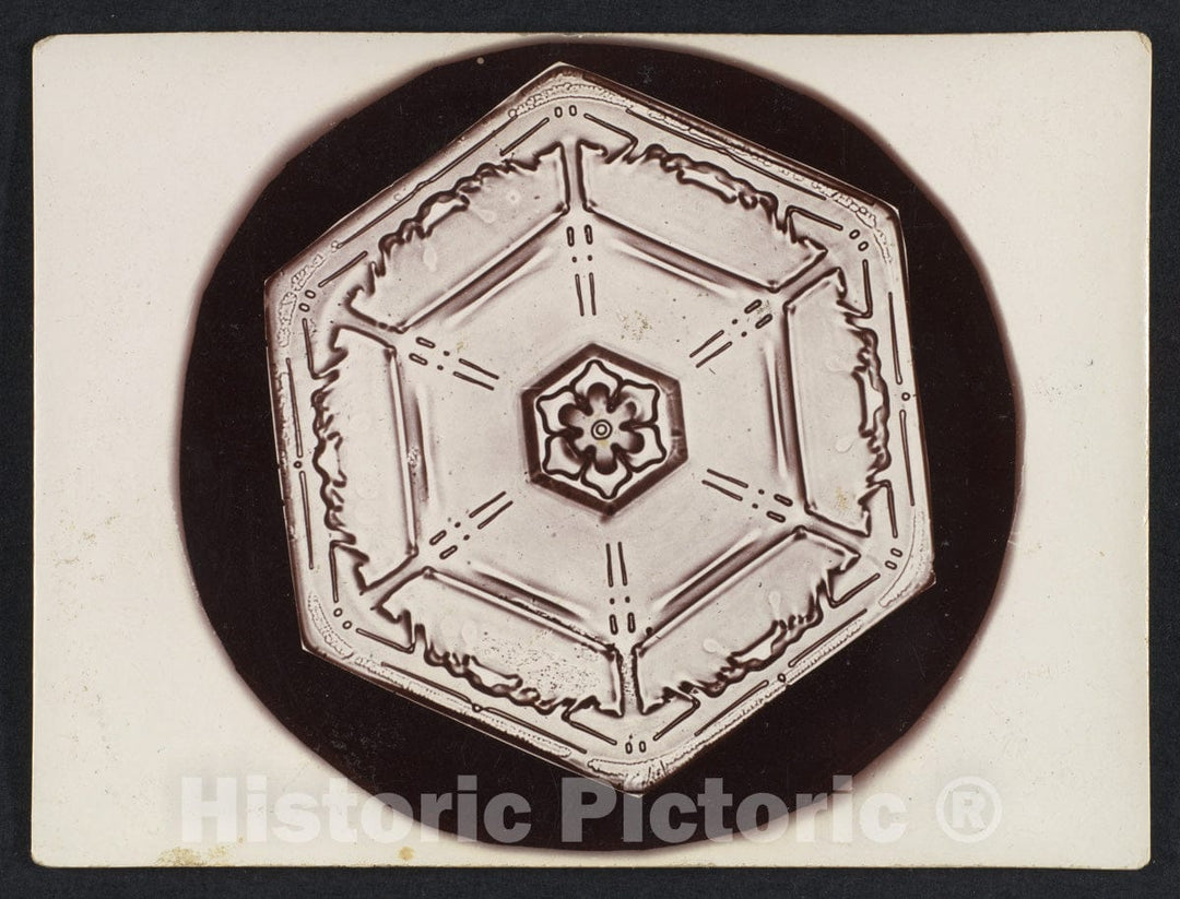 Photo Print : Wilson Alwyn Bentley - Snow Crystal 5 : Vintage Wall Art