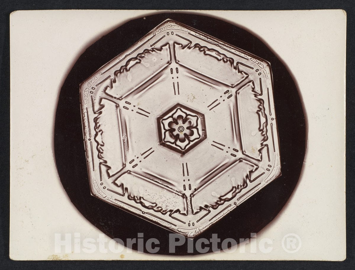 Photo Print : Wilson Alwyn Bentley - Snow Crystal 5 : Vintage Wall Art