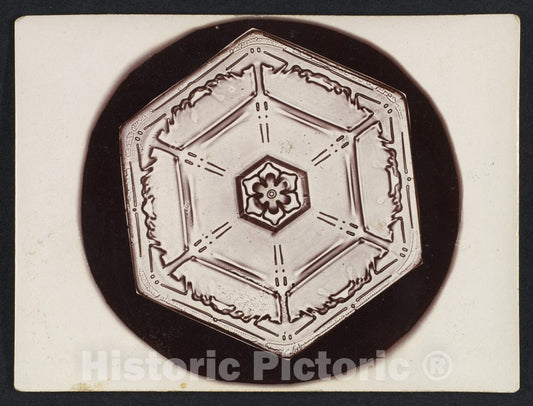 Photo Print : Wilson Alwyn Bentley - Snow Crystal 5 : Vintage Wall Art