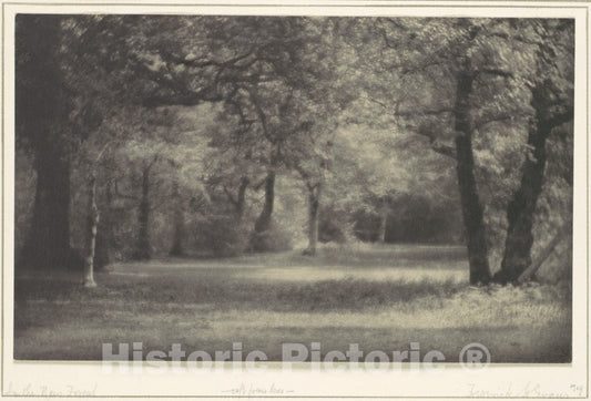 Photo Print : Frederick H. Evans - in The New Forest : Vintage Wall Art