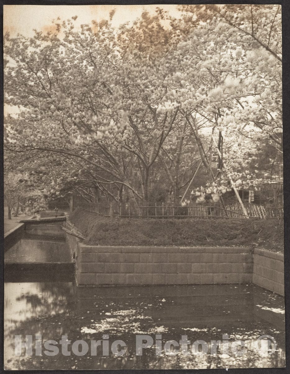 Photo Print : Adolf de Meyer - Garden with Cherry Trees in Bloom, Pool : Vintage Wall Art