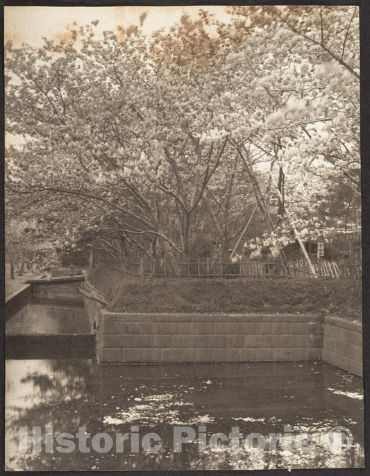 Photo Print : Adolf de Meyer - Garden with Cherry Trees in Bloom, Pool : Vintage Wall Art