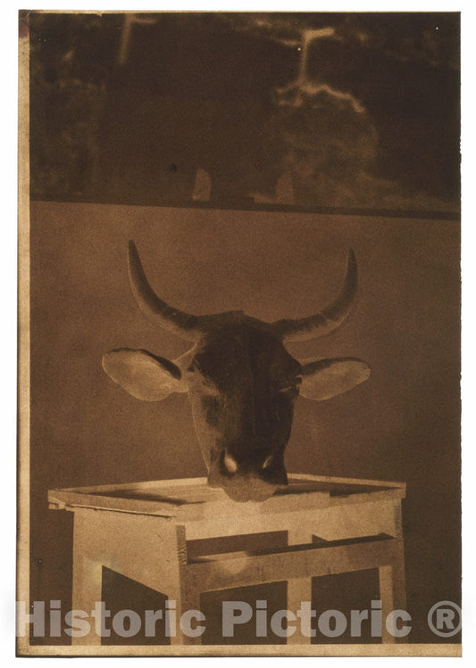 Photo Print : Louis-Rémy Robert - Still Life : Vintage Wall Art