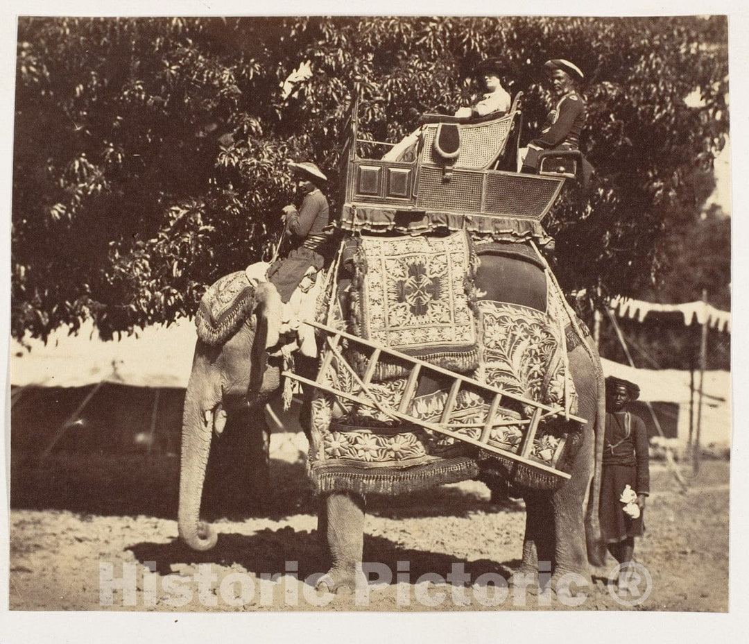 Photo Print : Lady Canning : Vintage Wall Art