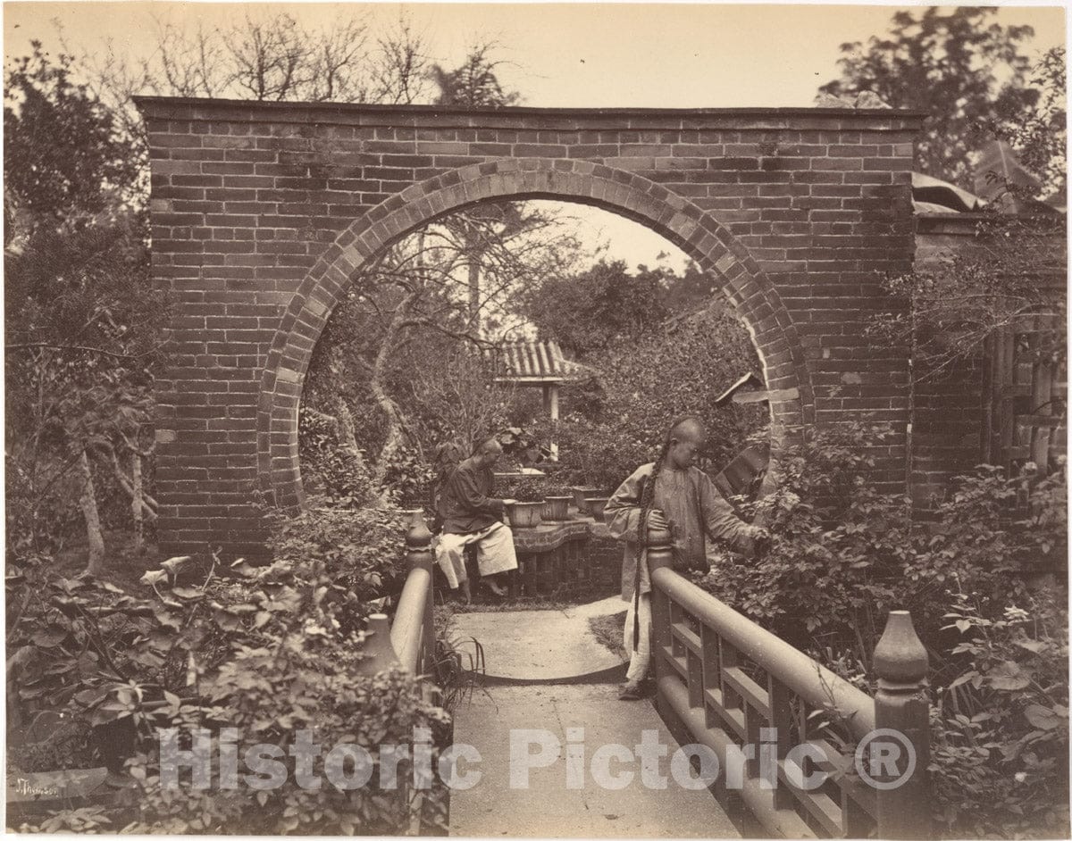 Photo Print : John Thomson - A Garden in Canton : Vintage Wall Art